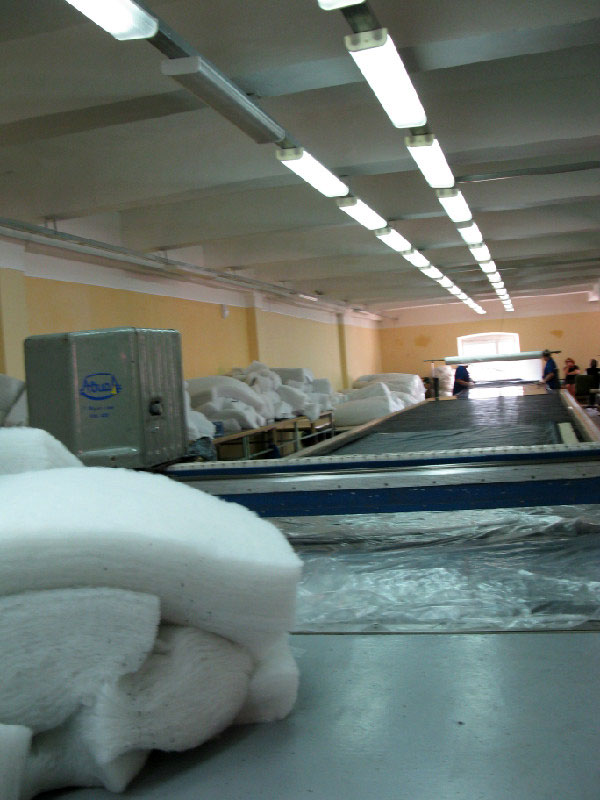 ������ ���� �� �����